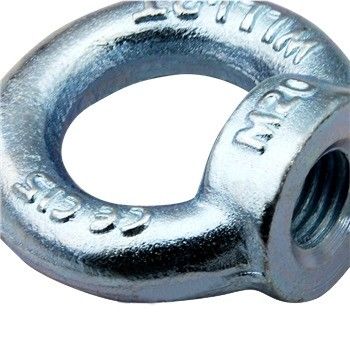 100% Inspektion vor der Lieferung OEM geschmiedet galvanisierte Stahl Lifting Eye Nuts