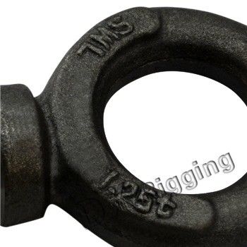 Präzisionsgusstechnologie Lifting Eye Bolts BS 4278 mit CE-Zertifizierung