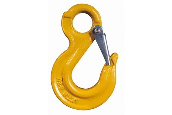 Hohe Festigkeit geschmiedete Legierung Stahl Auge Sling Haken für Outdoor-Klettern Aktivität